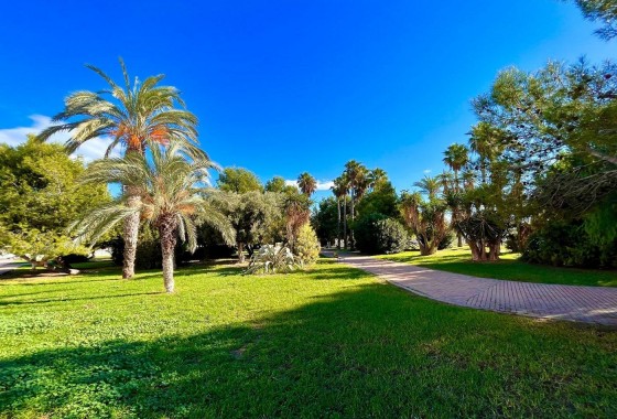 Segunda Mano - Adosado - Torrevieja - Calas blanca