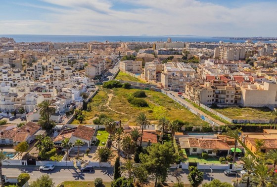 Segunda Mano - Adosado - Torrevieja - Calas blanca