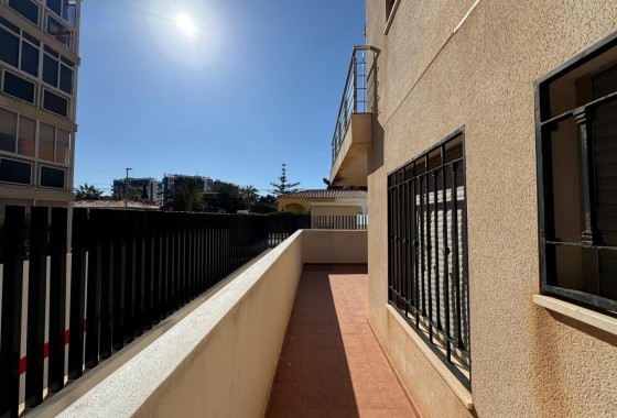 Segunda Mano - Apartamento - Torrevieja - Punta prima