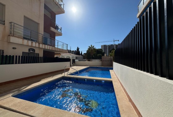 Segunda Mano - Apartamento - Torrevieja - Punta prima