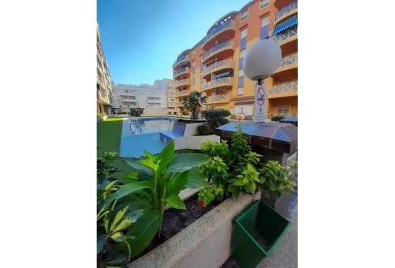 Segunda Mano - Apartamento - Torrevieja - Centro