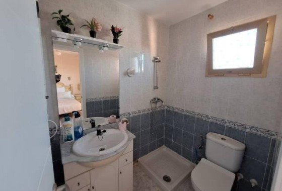 Segunda Mano - Apartamento - Torrevieja - La Mata pueblo