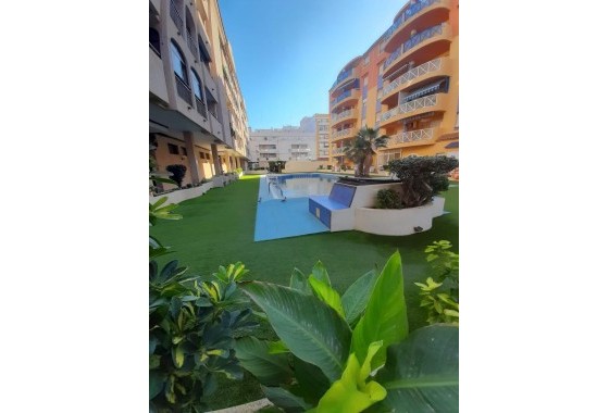 Segunda Mano - Apartamento - Torrevieja - Centro