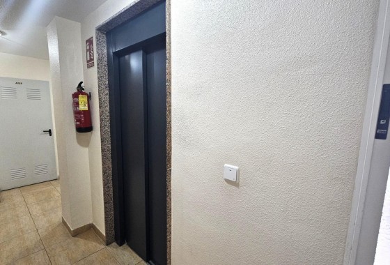 Segunda Mano - Apartamento - Torrevieja - Paseo maritimo