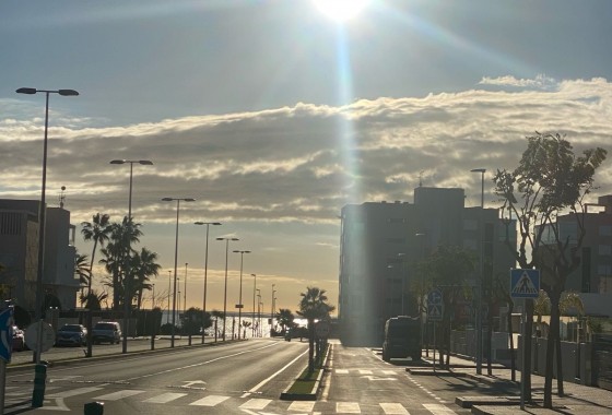 Segunda Mano - Apartamento - Pilar de la Horadada - Mil Palmeras