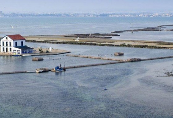 Obra nueva - Chalet - San Pedro del Pinatar