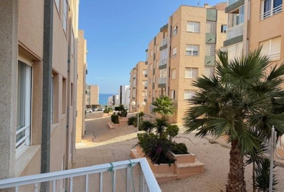 Resale - Apartment - Torrevieja - Cabo cervera