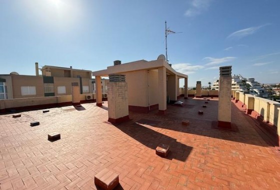 Resale - Apartment - Torrevieja - Cabo cervera