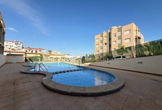 Resale - Apartment - Torrevieja - Cabo cervera