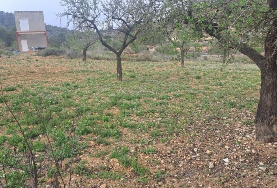Resale - country house - Hondón de las Nieves