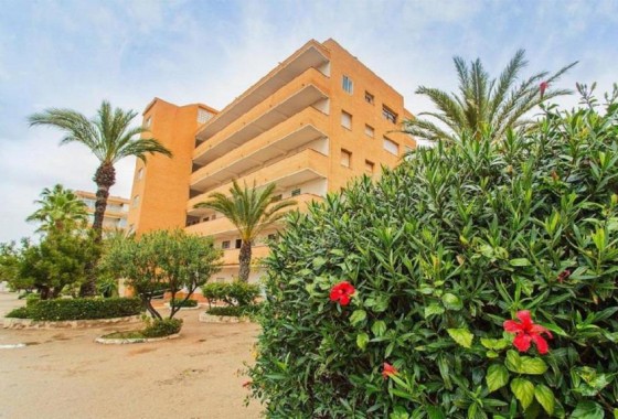 Resale - Apartment - Guardamar del Segura - Pinomar