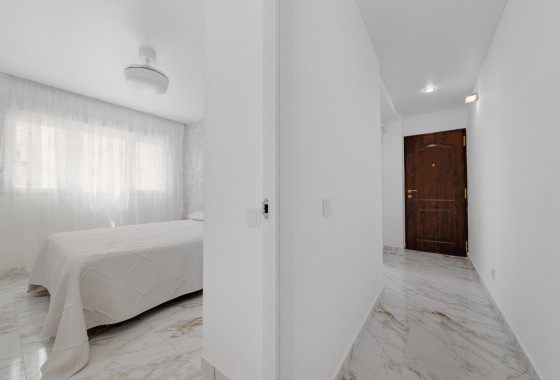 Segunda Mano - Apartamento - Torrevieja - torrevieja