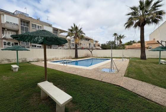 Resale - Apartment - Torrevieja - Estacion de autobuses