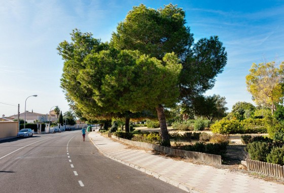 Resale - Semi detached - Torrevieja - La Siesta - El Salado - Torreta