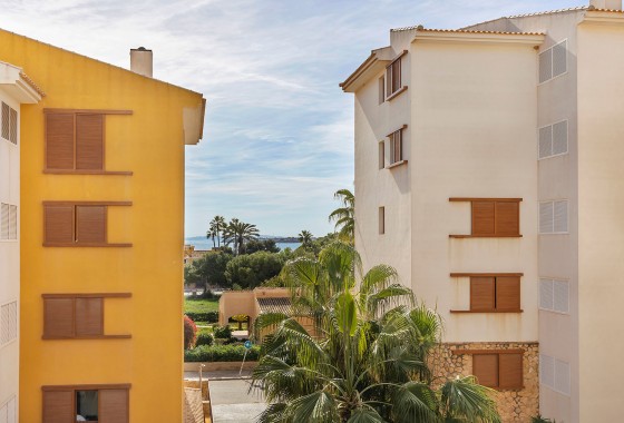 Resale - Apartment - Torrevieja - Costa Blanca