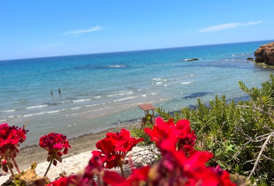 Resale - Detached Villa - Pilar de la Horadada - Costa Blanca