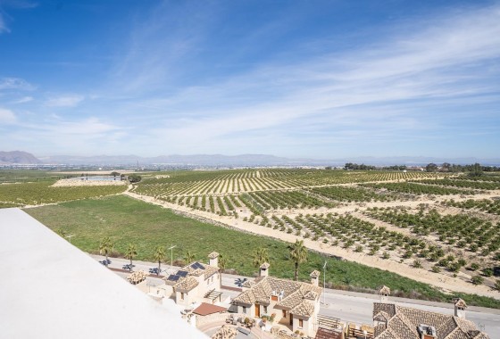 New Build - Detached Villa - Algorfa - La finca golf