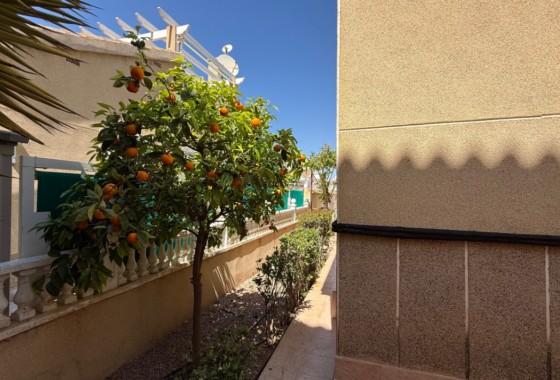 Segunda Mano - Chalet - Orihuela Costa - Inland