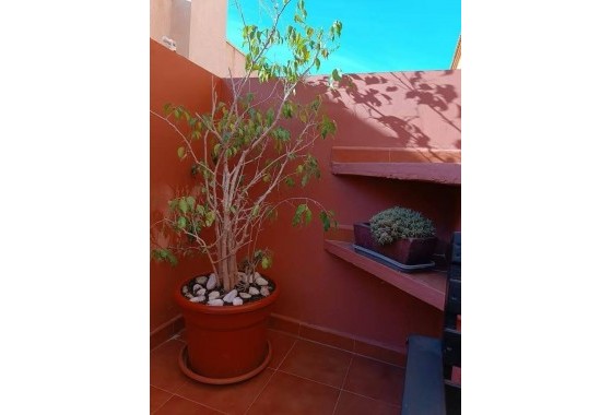 Segunda Mano - Duplex - Torrevieja - Aguas Nuevas