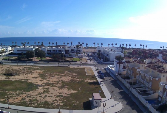 Obra nueva - Apartamento - Pilar de la Horadada - Playa de las Higuericas