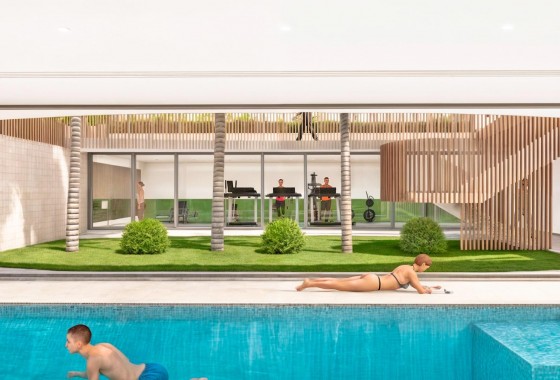 Obra nueva - Apartamento - Pilar de la Horadada - Playa de las Higuericas