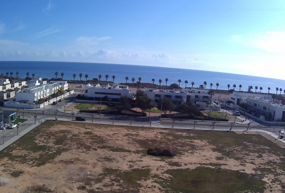 Obra nueva - Apartamento - Pilar de la Horadada - Playa de las Higuericas