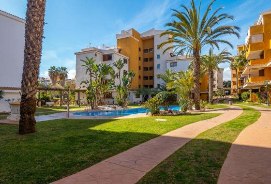 Resale - Apartment - Torrevieja - Punta prima