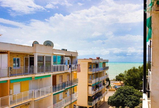 Segunda Mano - Apartamento - Punta Prima