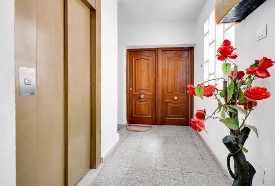 Segunda Mano - Apartamento - Punta Prima