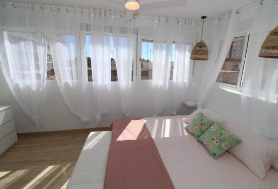 Revente - Appartement - Lo Pagan - LA PUNTICA