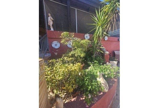 Revente - Villa - Dolores - Comunidad valenciana