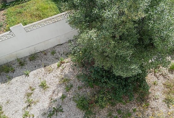 Segunda Mano - Chalet - Torrevieja - Los Balcones - Los Altos del Edén