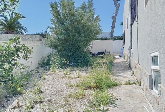 Segunda Mano - Chalet - Torrevieja - Los Balcones - Los Altos del Edén