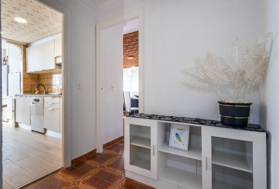 Segunda Mano - Apartamento - Torrevieja - torrevieja
