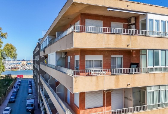 Segunda Mano - Apartamento - Torrevieja - torrevieja