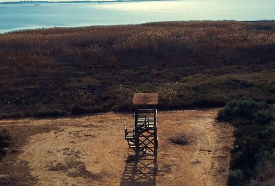 Obra nueva - Chalet - Los Montesinos