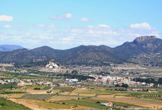 New Build - Detached Villa - La Romana