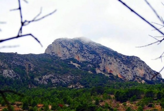 Nouvelle construction - Villa - La Romana