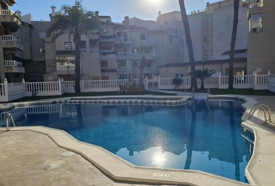 Segunda Mano - Apartamento - Torrevieja - Estacion de autobuses