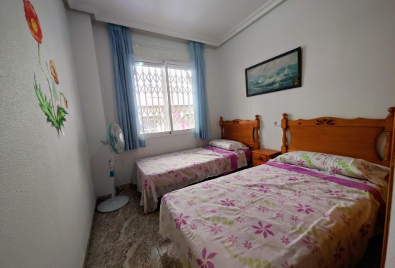 Segunda Mano - Apartamento - Torrevieja - Estacion de autobuses