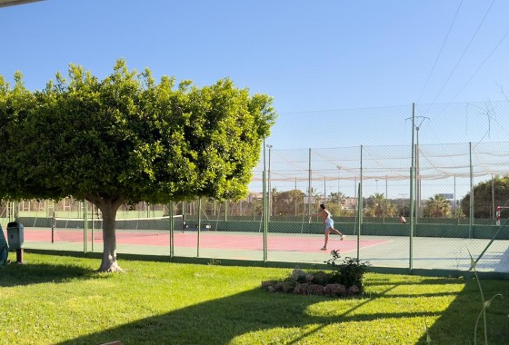 Segunda Mano - Bungalow - Torrevieja - Parque de las Naciones