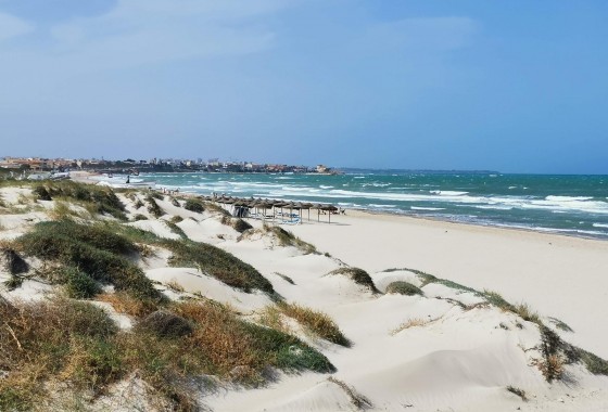 Obra nueva - Chalet - Pilar de la Horadada