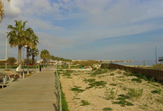 Obra nueva - Chalet - Pilar de la Horadada