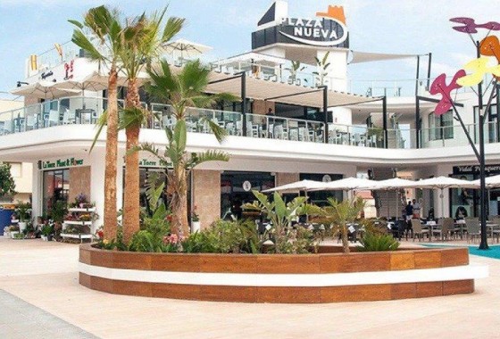 Obra nueva - Chalet - Pilar de la Horadada