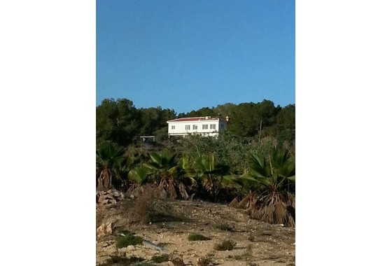 Revente - finca - Torrevieja - Los balcones