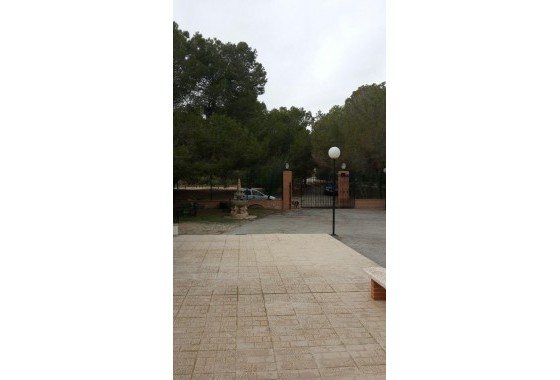 Revente - finca - Torrevieja - Los balcones