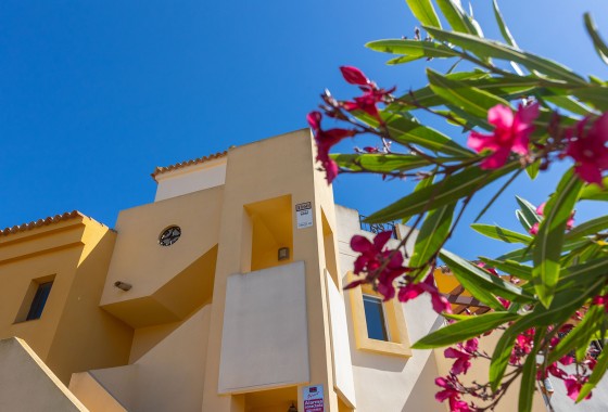 Segunda Mano - Apartamento - Torrevieja - Los altos