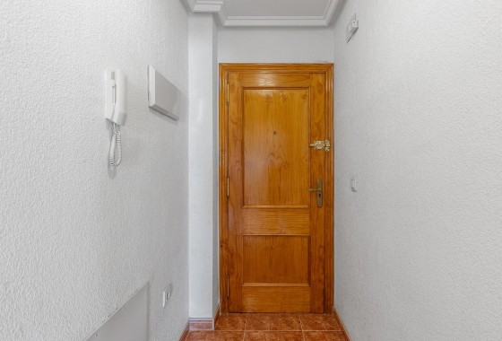 Segunda Mano - Apartamento - Torrevieja - Estacion de autobuses