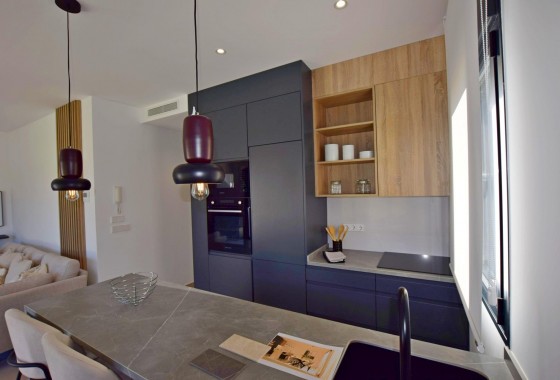 Nouvelle construction - Villa - Alhama de Murcia - Condado de Alhama