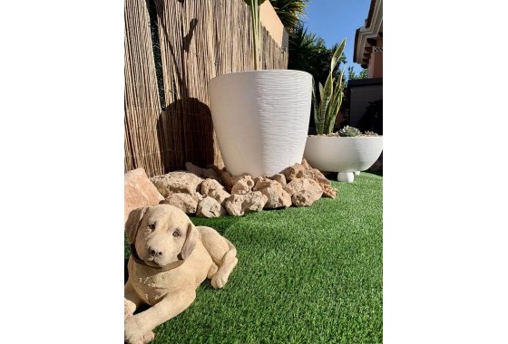 Revente - Bungalow - Los Montesinos - Pueblo 8